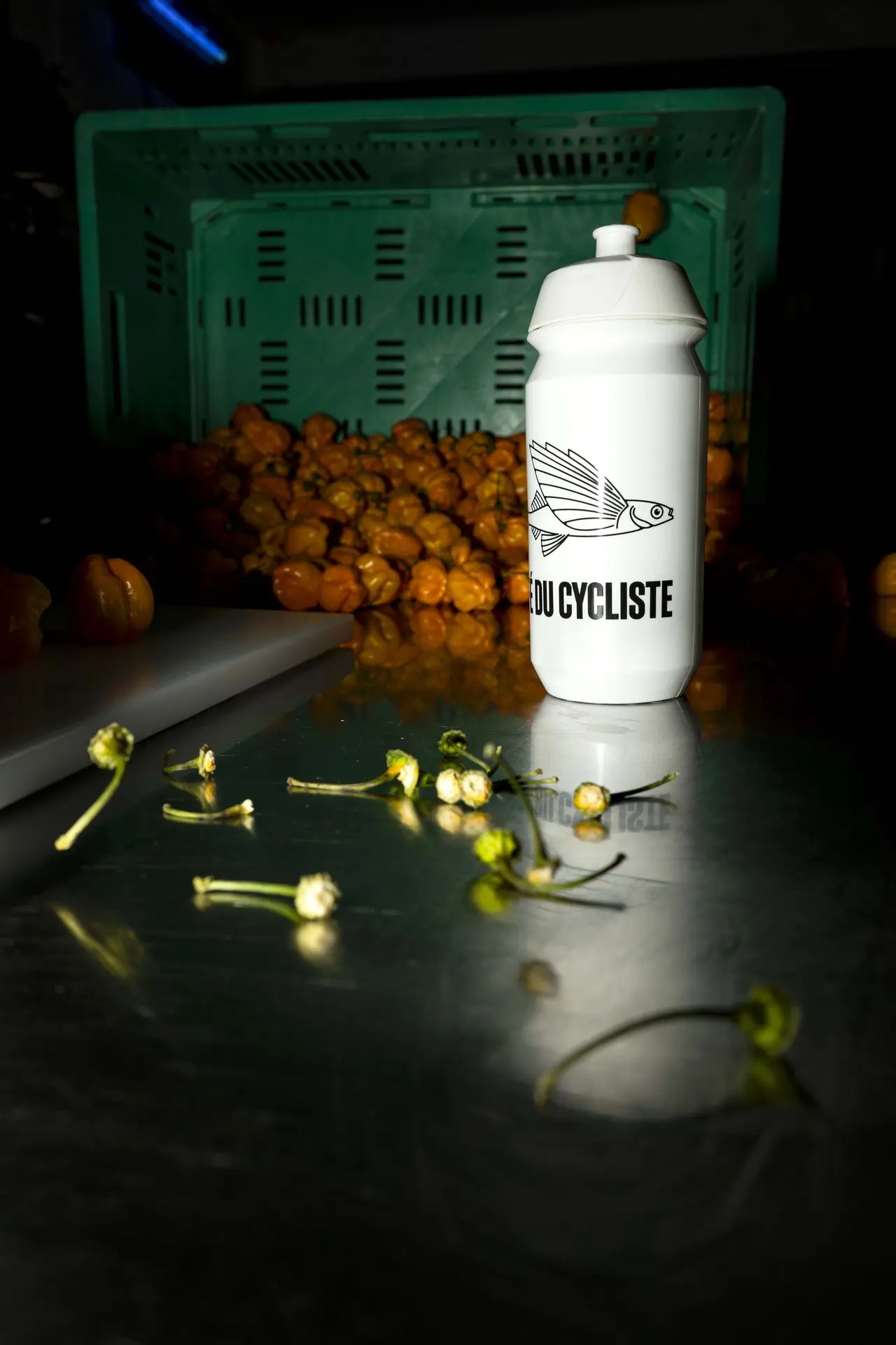 DSC02150 copie 2.webp