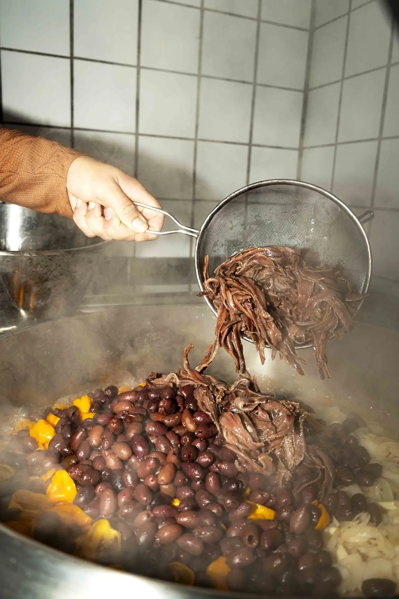 DSC02347 copie 2.webp