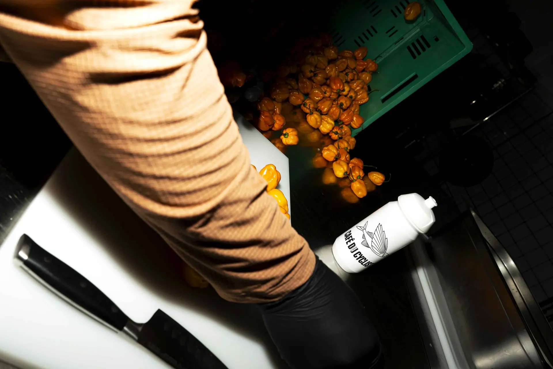 DSC02160 copie 2.webp