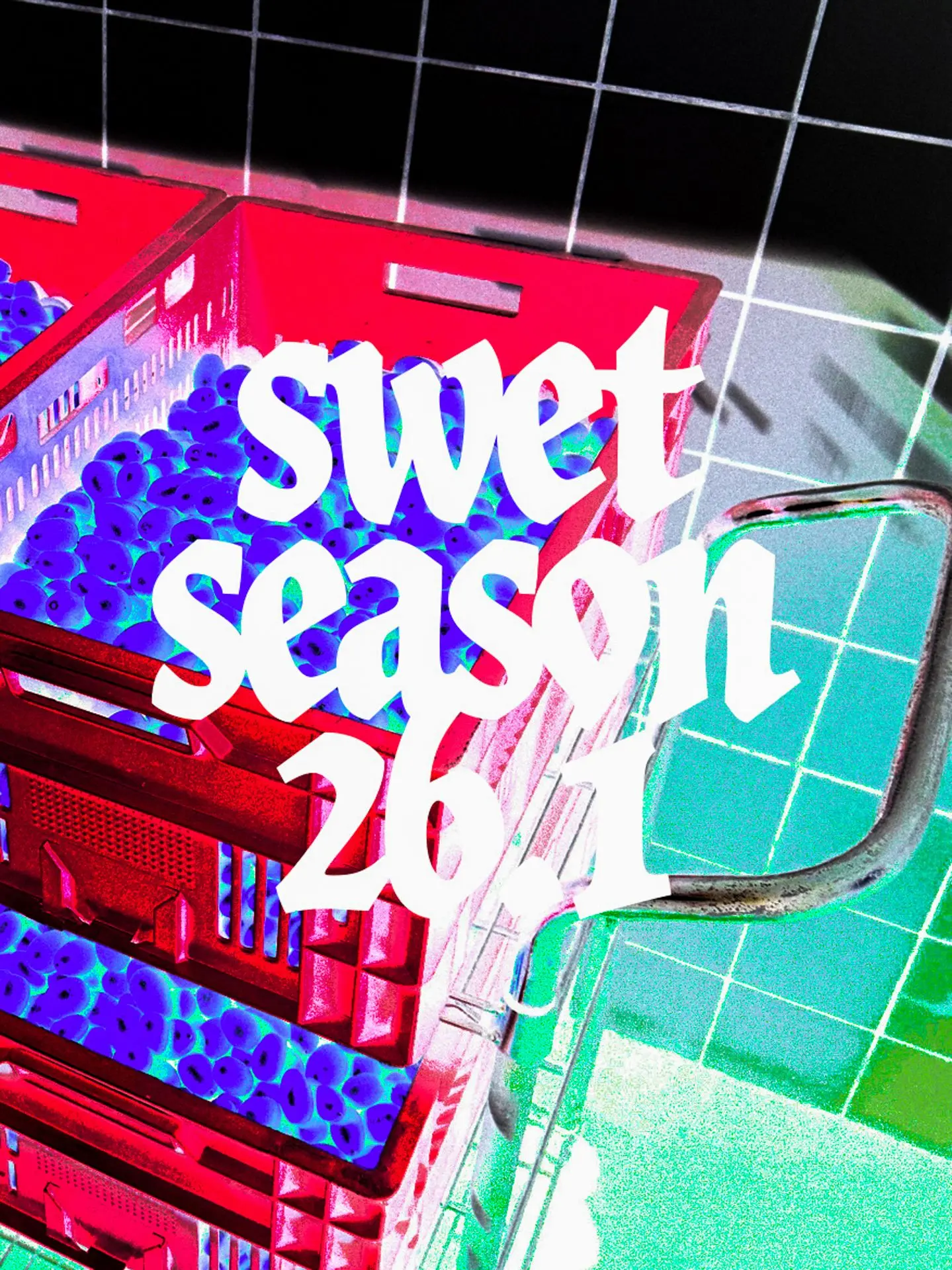 IMG_6559-2 copie-2.webp